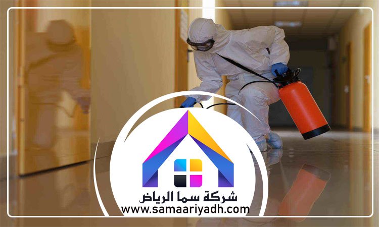 مكافحة حشرات غرب الرياض