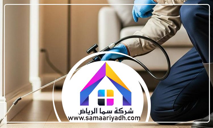 مكافحة حشرات شمال الرياض 3 مكافحة حشرات شمال الرياض