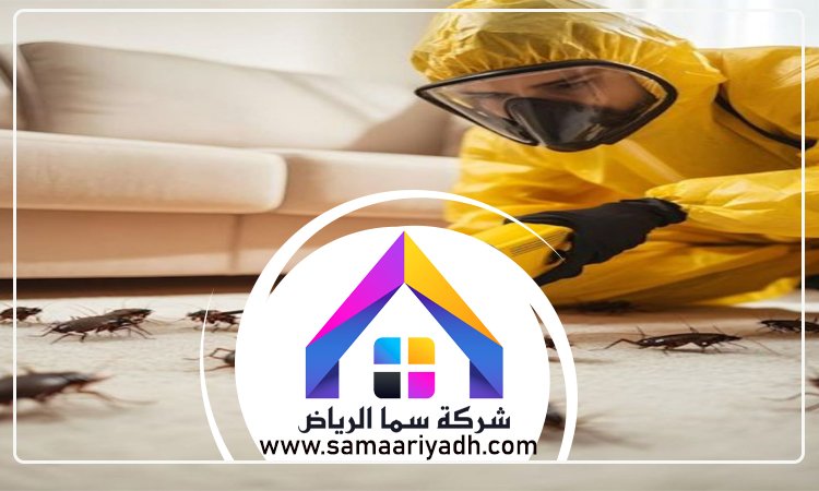 شركة مكافحة الصراصير جنوب الرياض