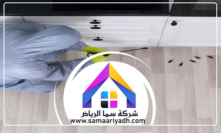 شركة مكافحة الصراصير جنوب الرياض