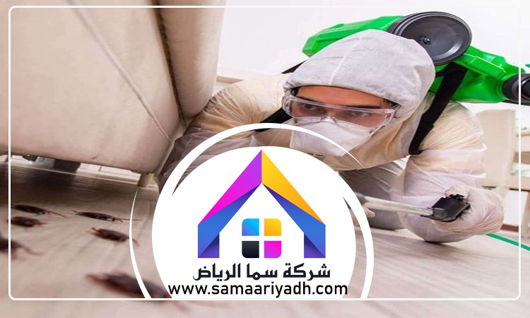 شركة مكافحة الصراصير جنوب الرياض