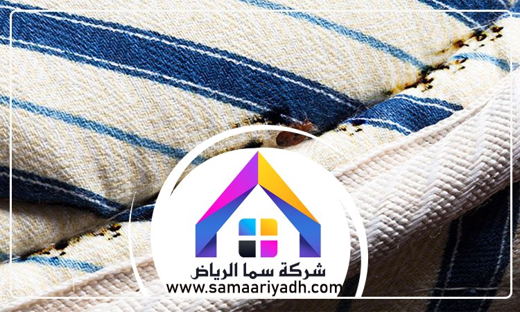 شركة مكافحة البق جنوب الرياض 4 شركة مكافحة البق جنوب الرياض