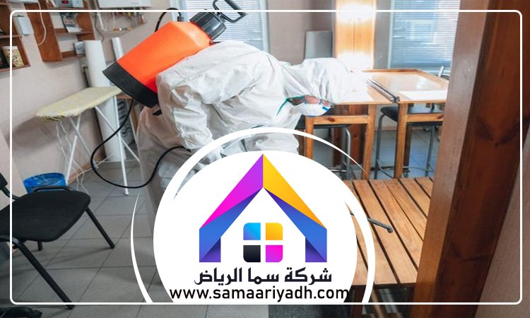 مكافحة حشرات شرق الرياض 4 مكافحة حشرات شرق الرياض
