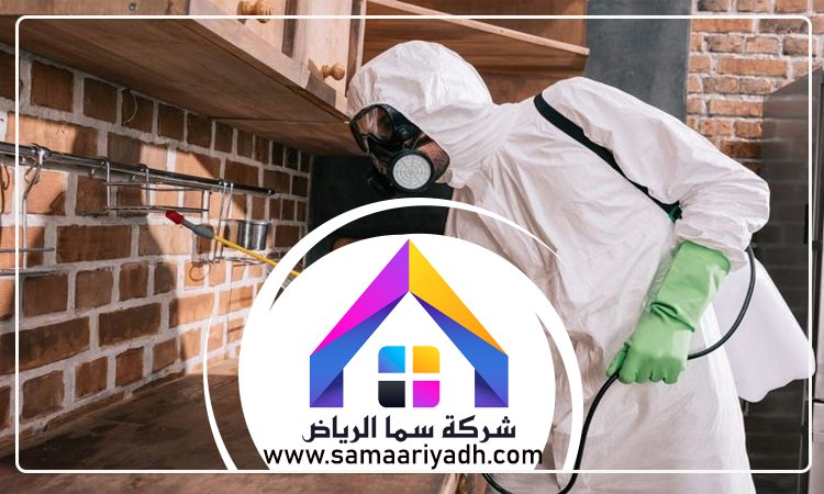 مكافحة حشرات غرب الرياض 4 مكافحة حشرات غرب الرياض