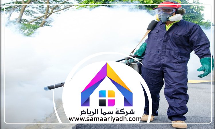 مكافحة حشرات شرق الرياض 2 مكافحة حشرات