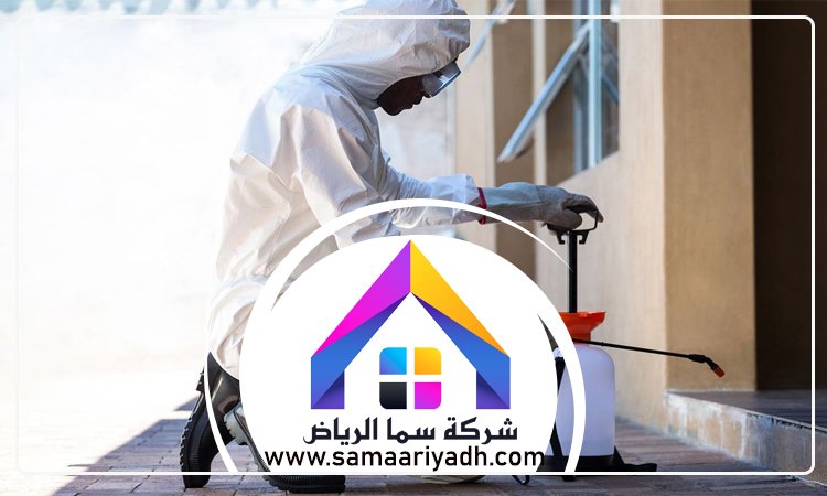 شركة رش مبيدات بالرياض 3 شركة رش مبيدات بالرياض