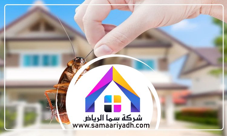 شركة مكافحة الصراصير