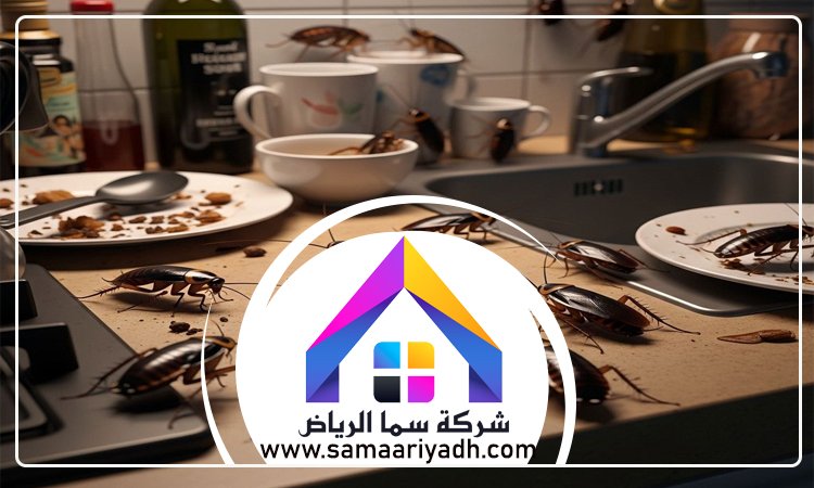 شركة مكافحة الصراصير شمال الرياض 4 شركة مكافحة الصراصير شمال الرياض