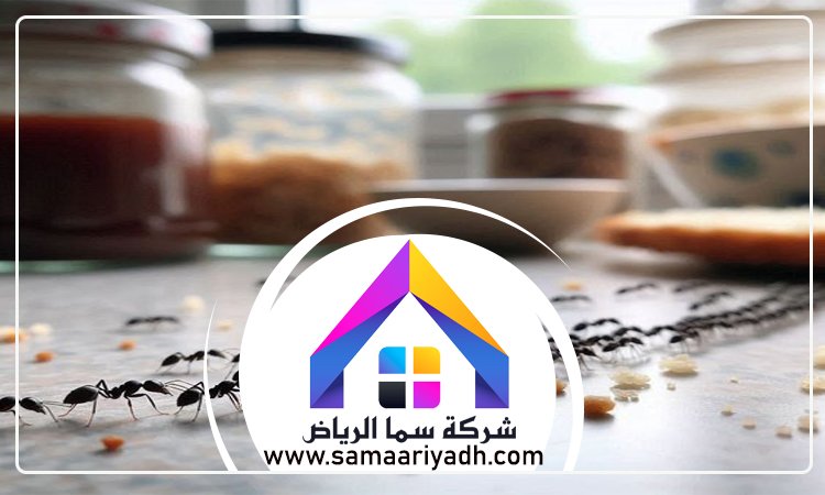 شركة مكافحة النمل جنوب الرياض 4 شركة مكافحة النمل جنوب الرياض