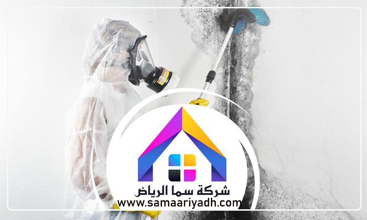 شركة تنظيف حوائط بالرياض 4 شركة تنظيف حوائط بالرياض