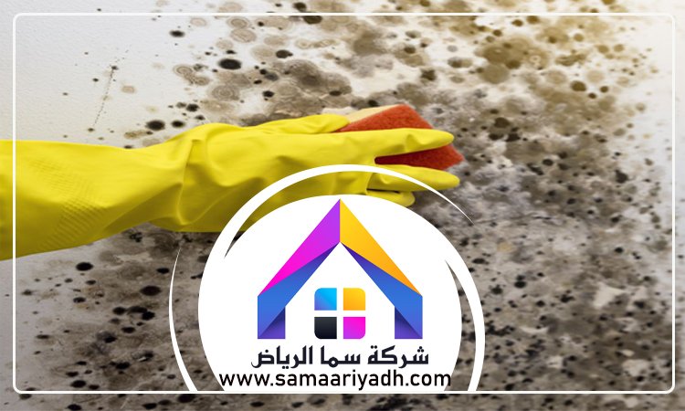 شركة تنظيف حوائط